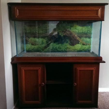 Image 1 of Fish Tank and Cabinet Good Condition