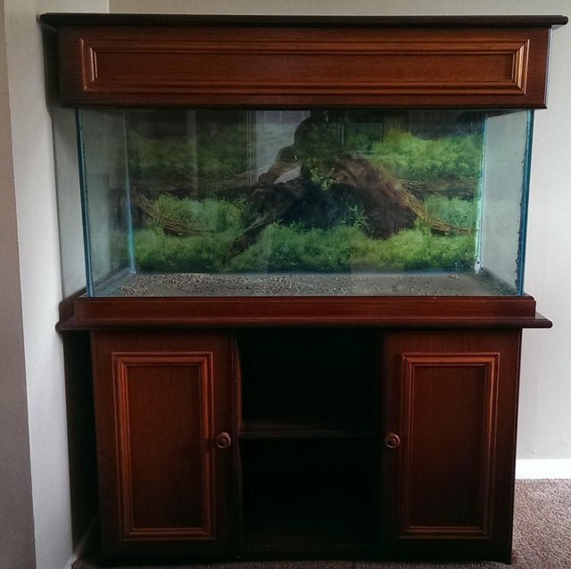 Preview of the first image of Fish Tank and Cabinet Good Condition.