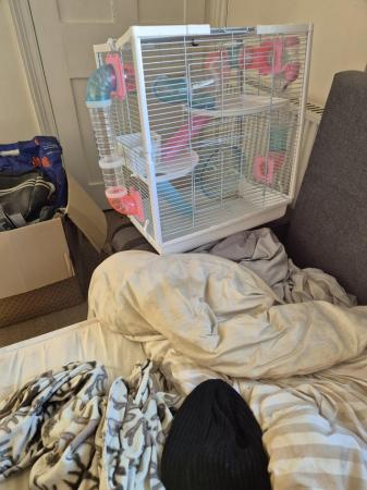 Image 4 of Hamster cage with everything needed