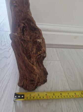 Image 5 of 3 nice pieces of Bogwood