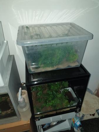Image 2 of Reptile vivs/cages brand new used for less then a week
