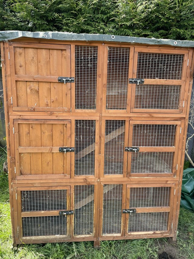 Preview of the first image of 5ft 3 Tier Home & Roost Hutch.