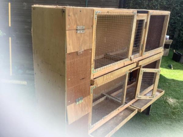 Image 3 of Double breeding cage for birds or pets.