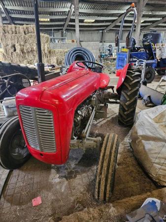 Image 2 of Massey Ferguson 35 vintage tractor no vat reluctant sale