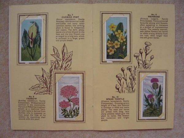 Image 3 of Typhoo Tea Cards  Wild Flowers in Album