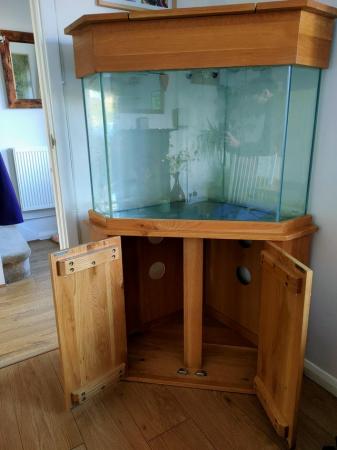 Image 5 of Corner Fish Tank with solid oak cabinet