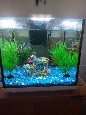 Image 1 of Free Interpet fish tank with aquaone cabinet and corations
