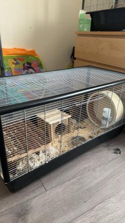 Image 3 of Hamster cage and more for sale