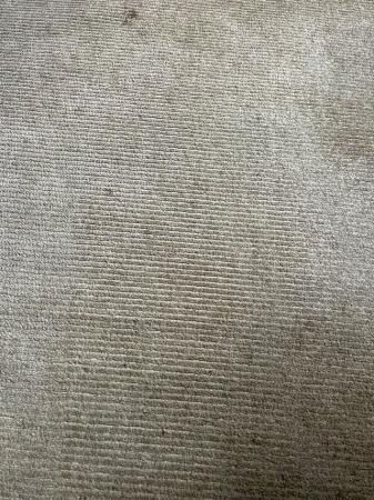 Image 3 of Cream Carpet Right Rug Size 170cm x 120cm