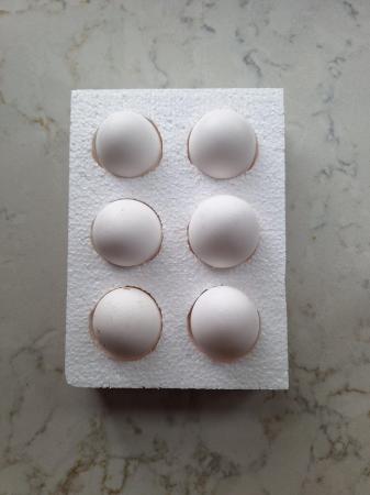 Image 2 of 6 Fertile White Star Hens eggs, deleievery included