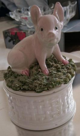 Image 1 of Gorgeous Pig China Trinket Box