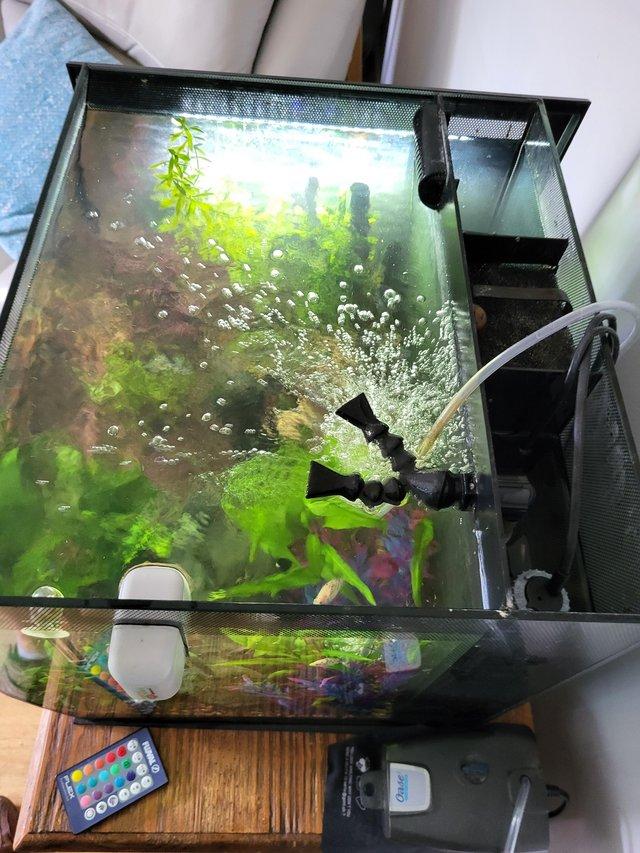 Preview of the first image of Fluval 57lt fish tank with heater,pump,fish and accessories..