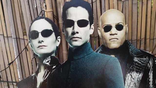 Image 6 of MATRIX ORIGINAL In-Store Promotional Cut Out Display