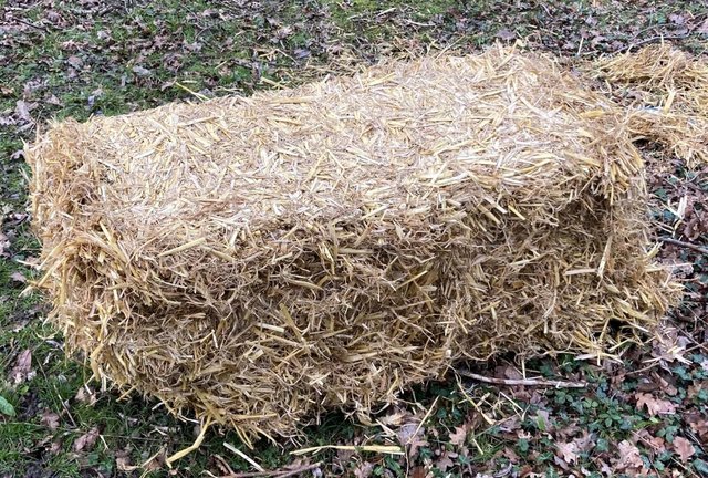 Preview of the first image of BIG FRESH STRAW BALE PET BEDDING RABBIT GUINEA PIG HENS HAY.