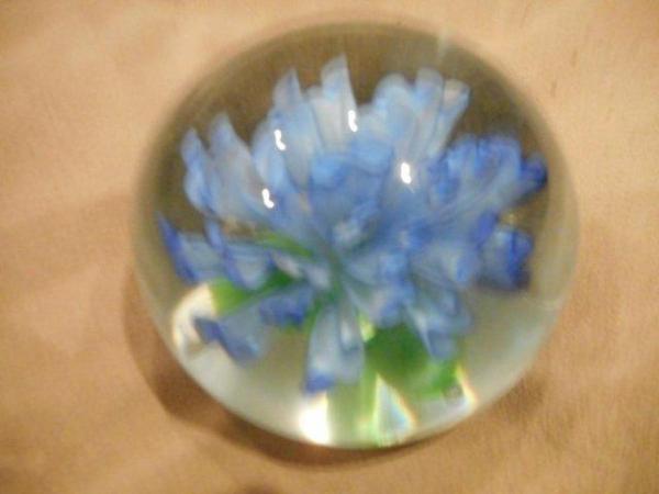 Image 1 of GLASS FLOWER PAPER WEIGHT IN A LOVELY JEWELLED BOX.