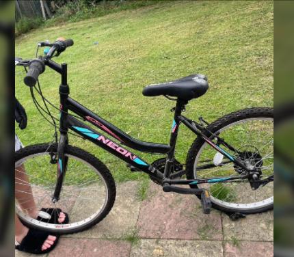 Used 24 inch clearance girls bike