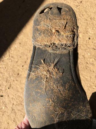 Image 3 of Loveson black Jodhpur boots size 4