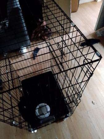 Image 2 of Medium Cozy pet  indoor ferret cage on wheels
