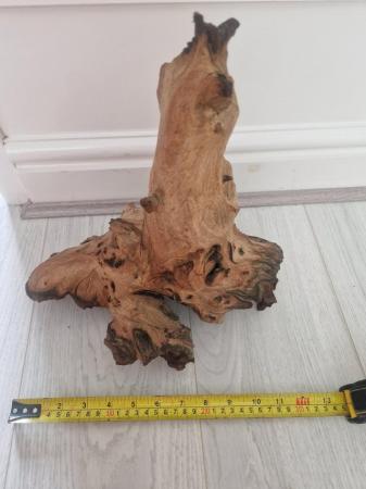 Image 4 of Large piece of Bogwood..
