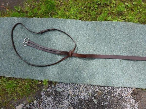 Image 3 of English leather Running Martingales C/FS