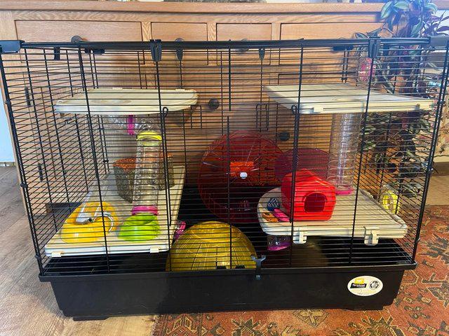 Preview of the first image of Fabulous basically brand new Syrian hamster cage.