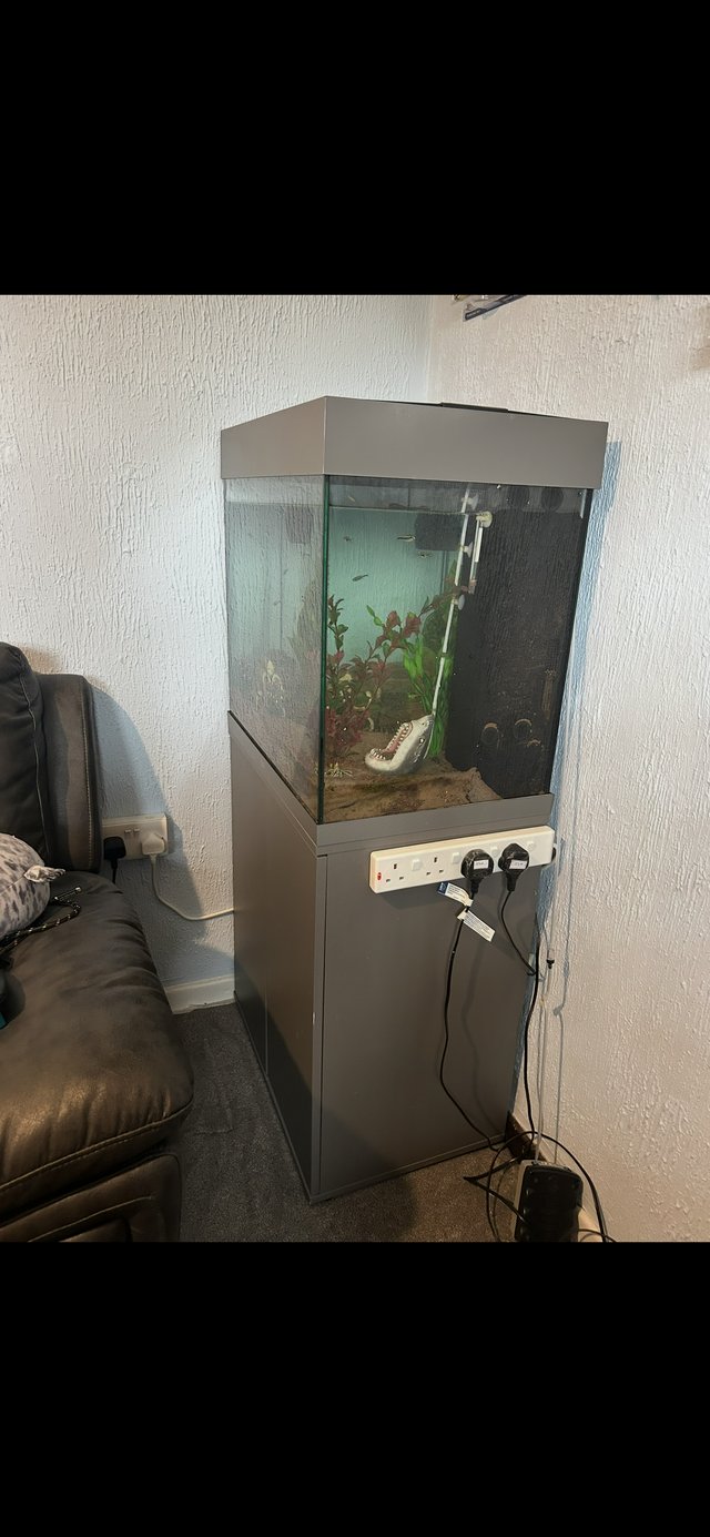 Fish tank and stand comes with decor — photo 2 of 4