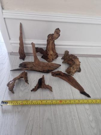 Image 1 of 7 pieces of Bogwood.....