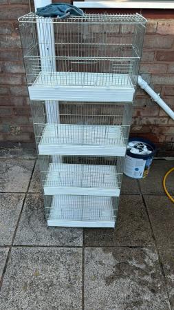 Image 2 of Essex bird cages used finches and canines