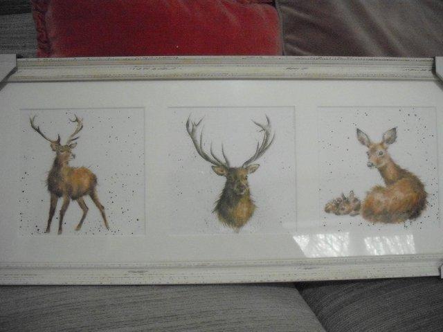 Preview of the first image of Wrendale Stag / Deer Trio Triple Framed Print - BN.
