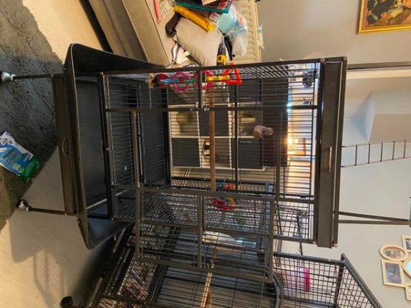 Image 4 of Stunning Parrot cage for sale
