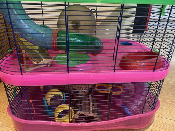 Image 1 of Deluxe three storey hamster cage