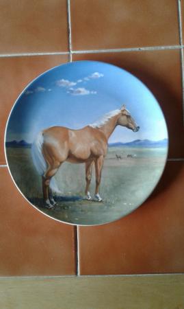 Image 1 of The American quarter horse plate