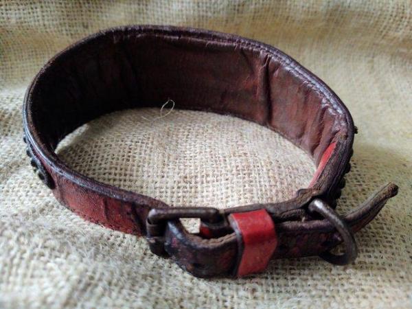 Image 2 of Rare Antique Leather Dog Collar