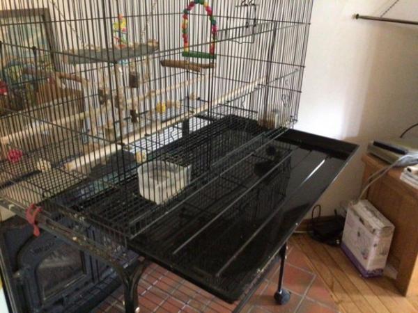 Image 2 of Large Bird Cage and Stand suitBudgie Cockatiel Canary