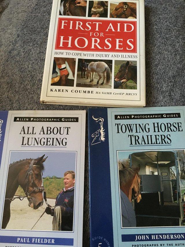 Preview of the first image of 3 horse books, all in good condition.