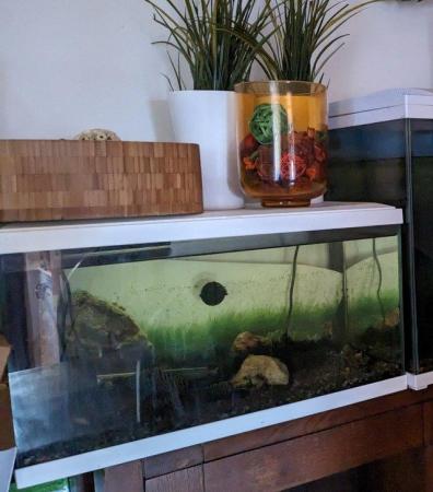 Image 2 of 3 x Tropical Fish Aquarium's for sale