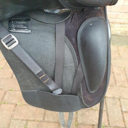 Image 7 of Wintec Isabell Werth dressage saddle