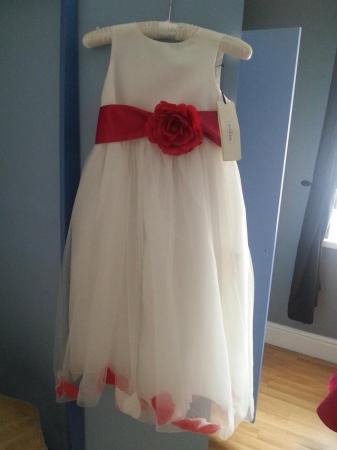 Image 2 of Brand new bridesmaids dresses