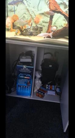 Image 10 of Fish + Aqua One 250L Tank With Cabinet + Fluval 407 Filter