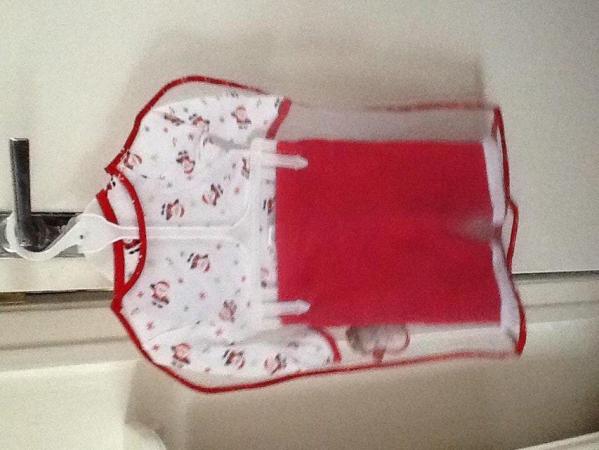Image 3 of FATHER CHRISTMAS / FANCY DRESS BABY CLOTHES 3 - 6 MONTHS
