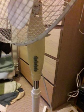 Image 3 of Kingsley adjustable pedestal fan