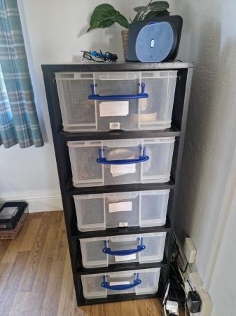 Image 2 of Snake Rack 5 Tier All Electrics With Pythons