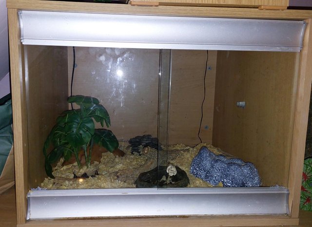 Preview of the first image of Vivarium and all extras read description for details.