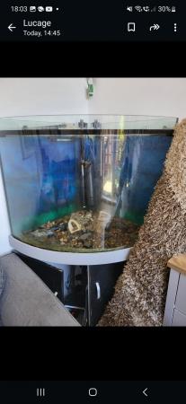 Image 2 of Fish tank and unit with accessories