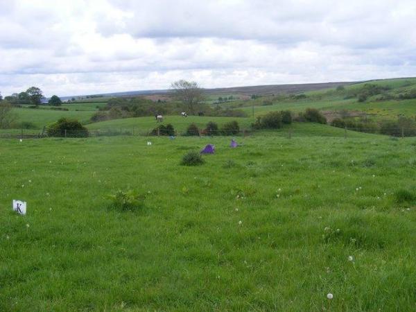 Image 3 of Livery -DIY inbetween Guisborough and Whitby, North Yorks