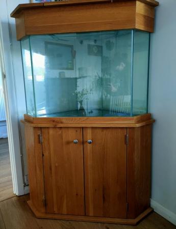 Image 6 of Corner Fish Tank with solid oak cabinet