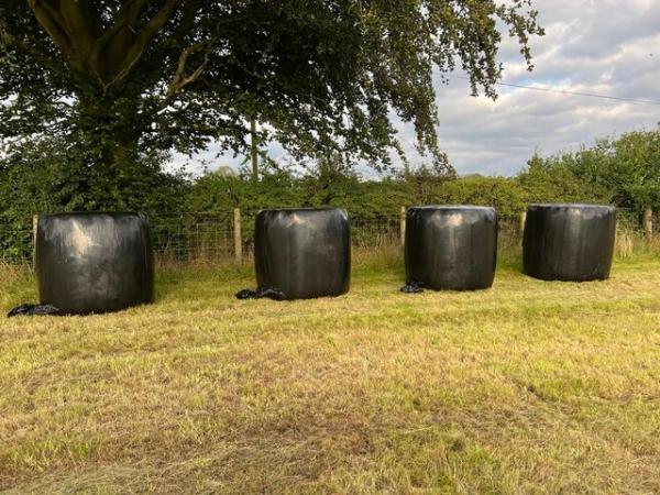 Image 2 of Haylage round bales for sale