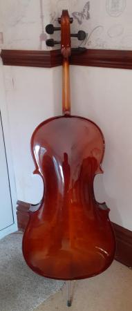 Image 3 of Antoni Debut 3/4 sized 'cello in Archer lightweight case
