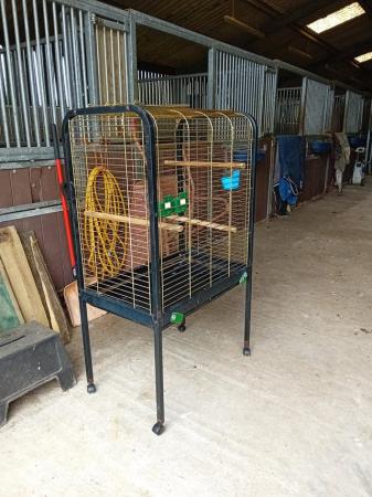 Image 1 of Parrot cage suitable for Amazon / African Grey or similar