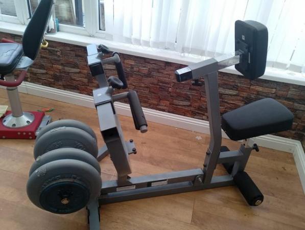 Image 3 of PLATE LOADED ROWING MACHINE C/W WEIGHTS IN PICTURE